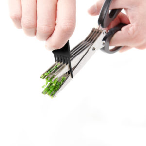 Vitility International B.V.