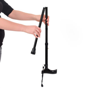 Vitility International B.V.