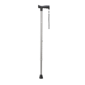 Walking cane - grey