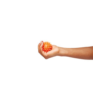 Vitility International B.V.