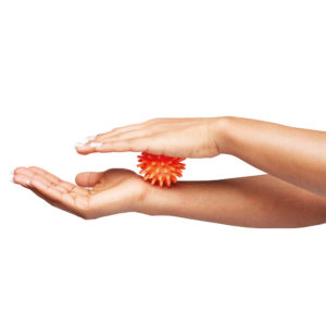 Vitility International B.V.