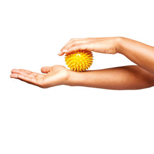 Vitility International B.V.