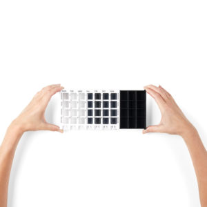 Vitility International B.V.