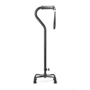 Walking cane - Quadro